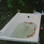 Przystawy *