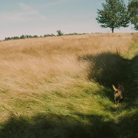 Przystawy * Malechowo