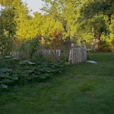 Farm stay Przystawy