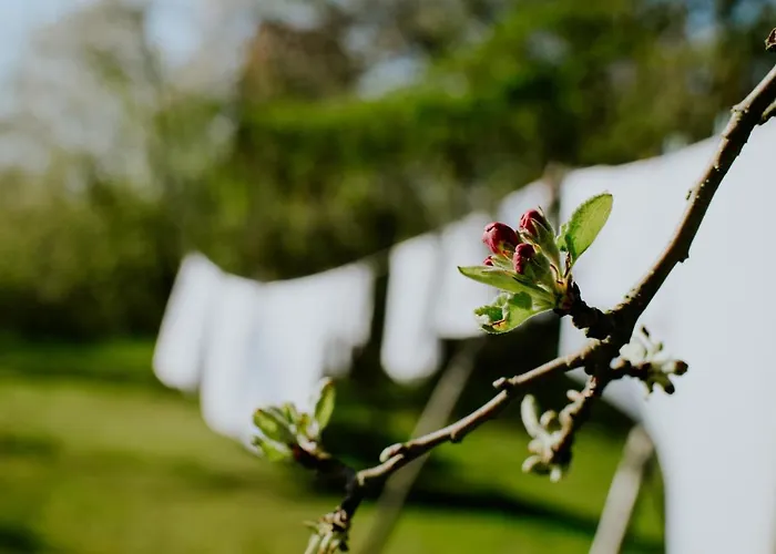 Przystawy Çiftlik konaklama *