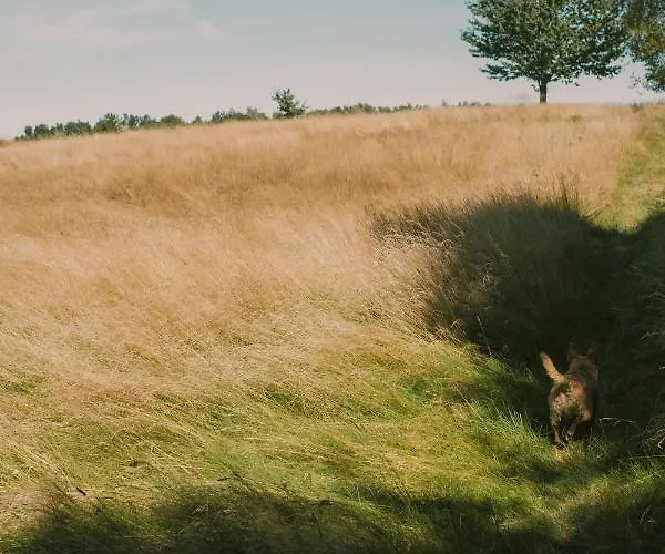 Przystawy * Malechowo